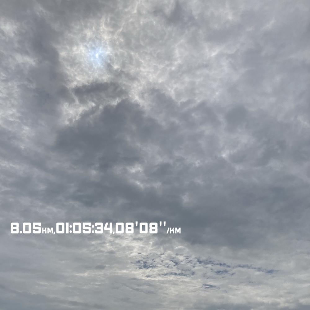 雲り... | ラントリップ