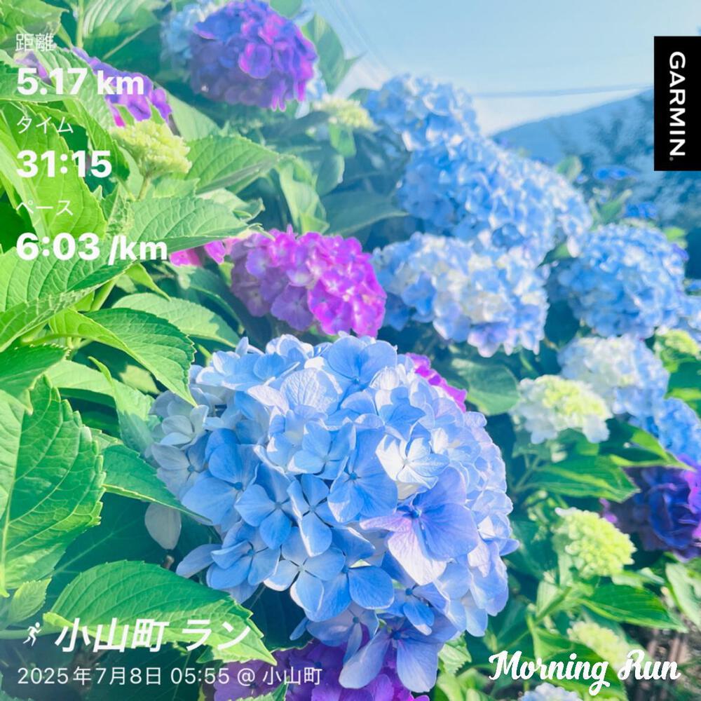 どんぐりアート♡ 紫陽花オブジェ　2025年度南国オブジェ♡ どんぐりアート 紫陽花オブジェ 2025年度南国オブジェ