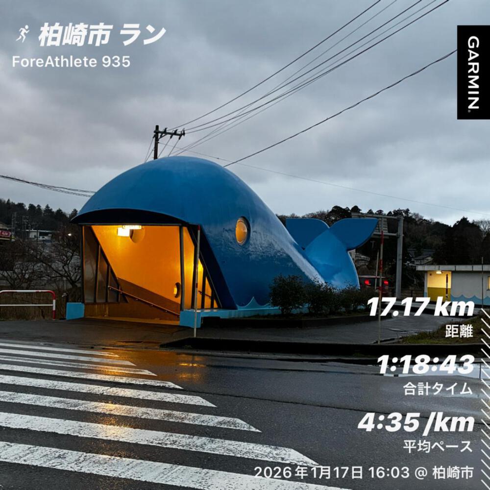 柏崎潮風マラソン2026の | ラントリップ