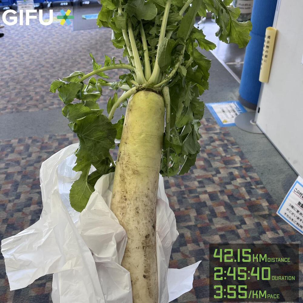 完走後の大根が名物❗️木曽三川マラソン🏞️
2026年1本目のフルマラソンで走ってきました🏃♂️➡️
木曽三川マラソンの特長は、この葉っぱ付きの大根が1本貰えること❗️
それで参加費も安い‼️
コースは国営木曽三川公園の周回コースなので、ほぼフラット⭕️
川上へ走る時は向かい風でも、戻ってくる時は追い風になるので、あまり影響なし👍
大会側が用意するエイドは水のみで、少ないスタッフが担当していたこともあり、テーブルに並べるスピードとランナーが取っていく回数が間に合わないのは難点ですが、コース上に私設エイドを設置することを認めているので、準備すれば最高のコンディションで走れます😄
今日は先週と打って変わって温暖☀️風もそこまで強くなく、絶好のマラソン日和❗️
1周目は余裕を持って自己ベストペース。㌔3分55秒ペース。
2周目は余裕を維持しながらも同じペースの集団から離される展開…
3周目はメンタル的にキツく、向かい風に立ち向かう気力が薄れてペースダウン⤵️しかし、折り返してからの追い風を利用して奮起し、ペースを元に戻す。
最終周は、アームウォーマーを脱ぎ捨て、10kmロングスパート⤴️
最後の5kmラップは、
3分41秒、3分45秒、3分42秒、3分41秒、3分43秒で、自分でも驚くくらい脚が動きました😆
結果は2023年高知龍馬マラソンで出した自己ベストを更新🎉
2年間故障に悩まされましたが、漸くあの頃の走りを取り戻すことができました😊
大根は早速晩御飯で、鶏胸肉と一緒に八丁味噌で煮込みました🍲
記録更新のおかげもあり、特別美味しく感じられた大根でした☺️
愛知県内では、にしおマラソンがありましたね。走られた皆さん、お疲れ様でした🍻