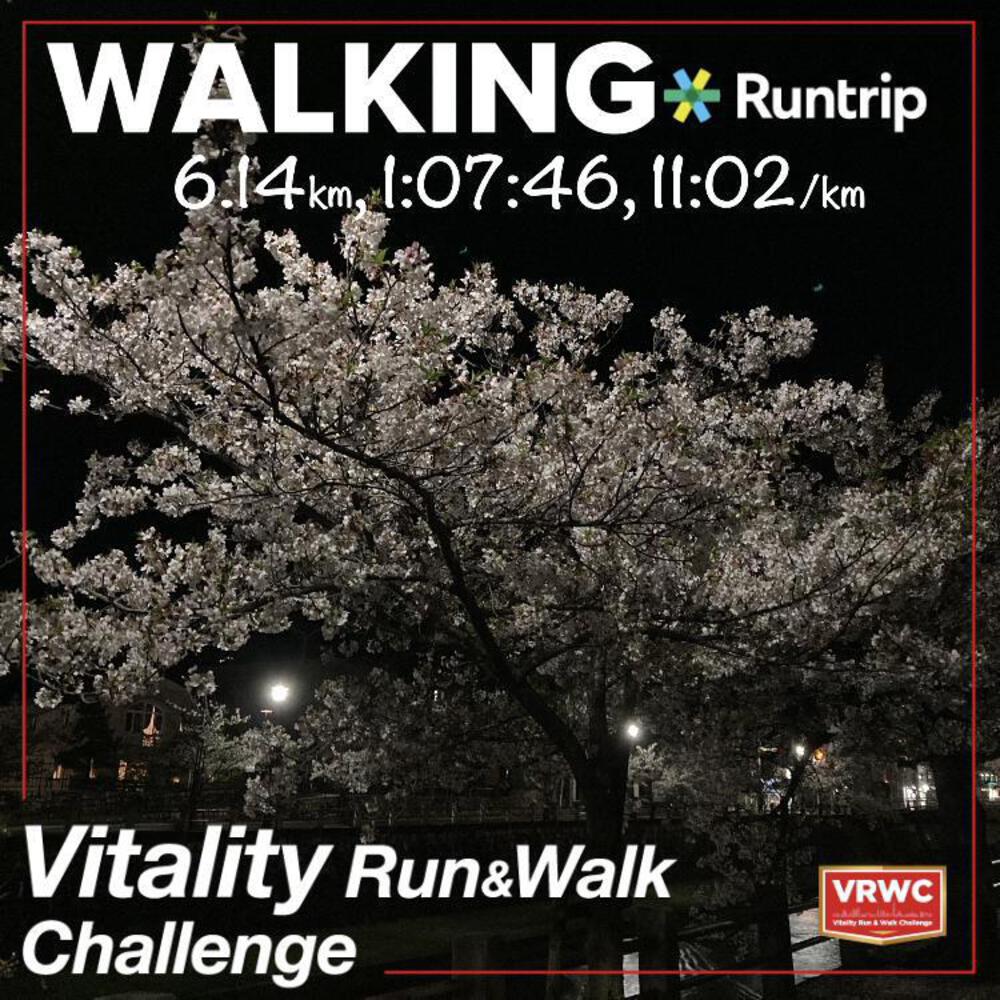 皆さん、NICEウォーク&ランです👍
今日も1日お疲れ様でした🙇♂️
VRWC初日は4kmWalkにチャレンジです☝️
本当は元気な初日に10kmRunを終わらせたかったんですけどね😓
雨は上がってくれたんですが諸々の事情でGO出来ず無念の待機😮💨
危うく初日チャレンジ失敗となりかけましたが日付変わる前に腹ごなしの4kmWalkで皆勤4冠への道を繋げる事が出来ました🙌
明日は10kmRumに挑戦して挑戦スケジュールを修正したいです😤
picは前回と似てますね😂
今回の雨で大ダメージ…地面には大量の花弁が散り落ちてました😢
だけどまだ耐えてる桜も確認でき夜桜だと誤魔化しで鑑賞にギリ耐えれる感じでしょうか🤭
良く見ると葉の緑が目立ってきてるんですよね😅
明日もマイペースに楽しんでいきましょう😉