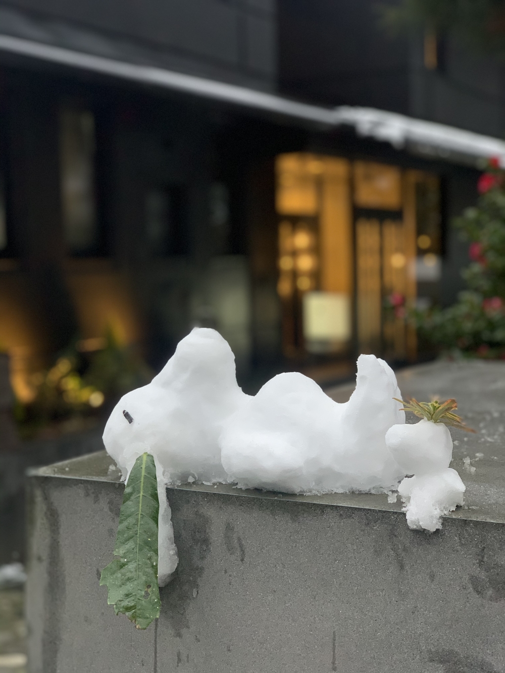 カバー画像