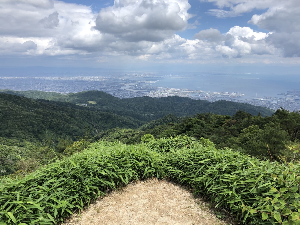 カバー画像