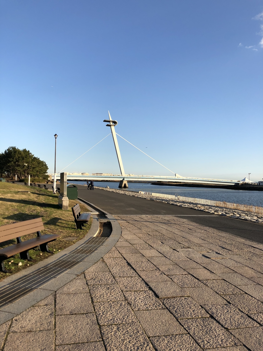 カバー画像