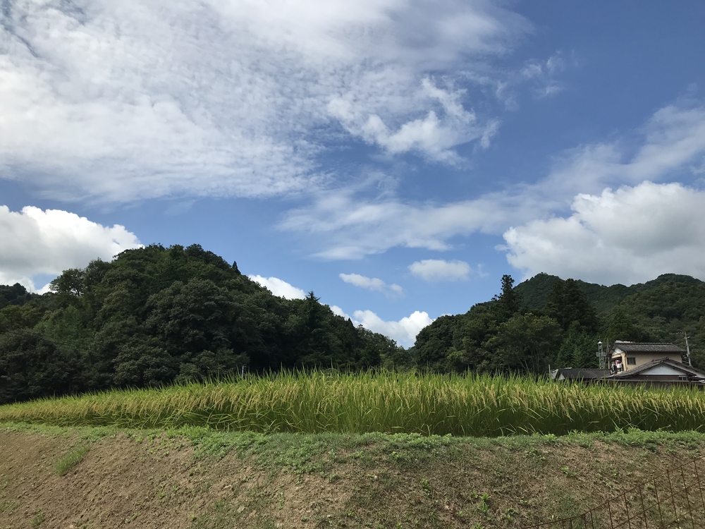 カバー画像