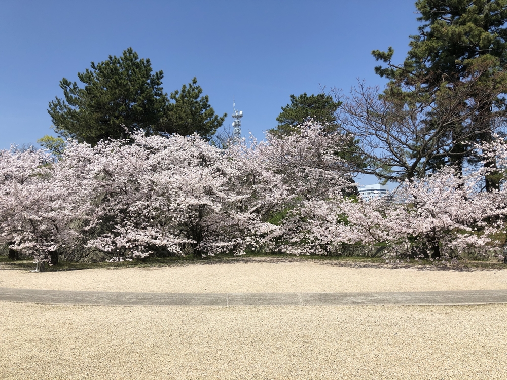 カバー画像