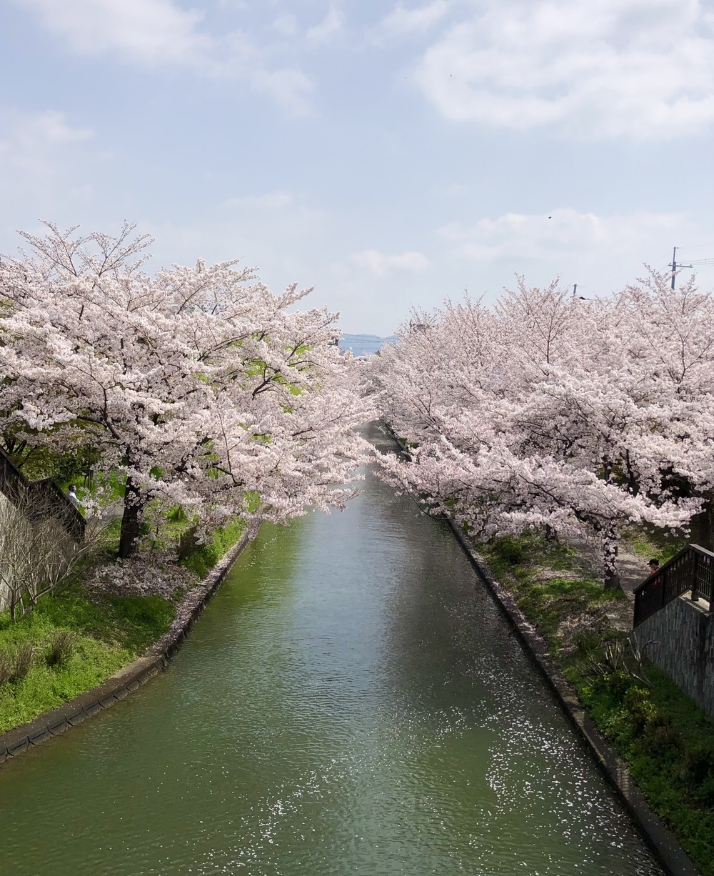 カバー画像