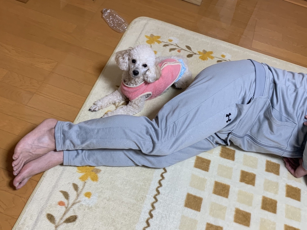 カバー画像