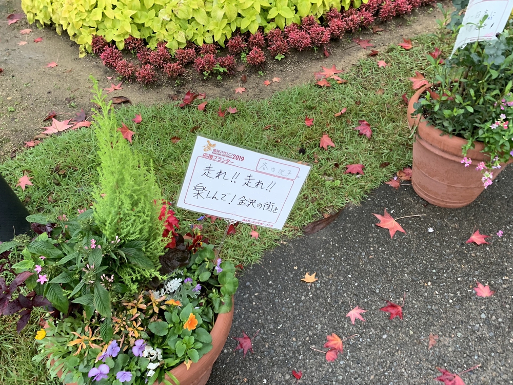 カバー画像