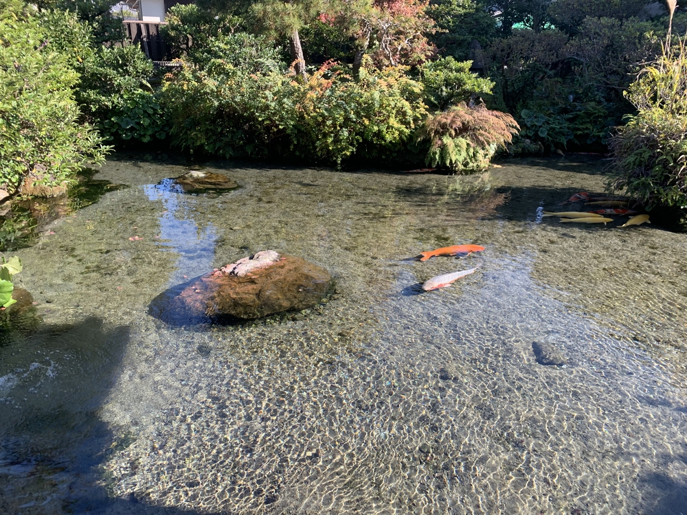 カバー画像