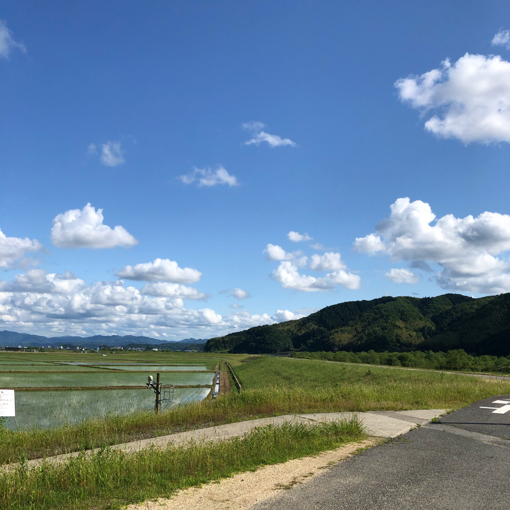 カバー画像
