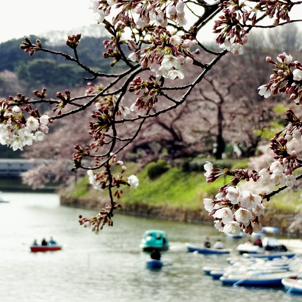 カバー画像