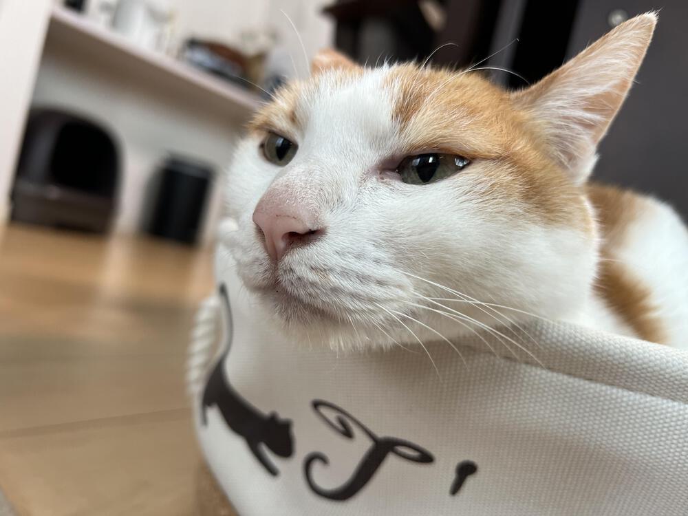 カバー画像