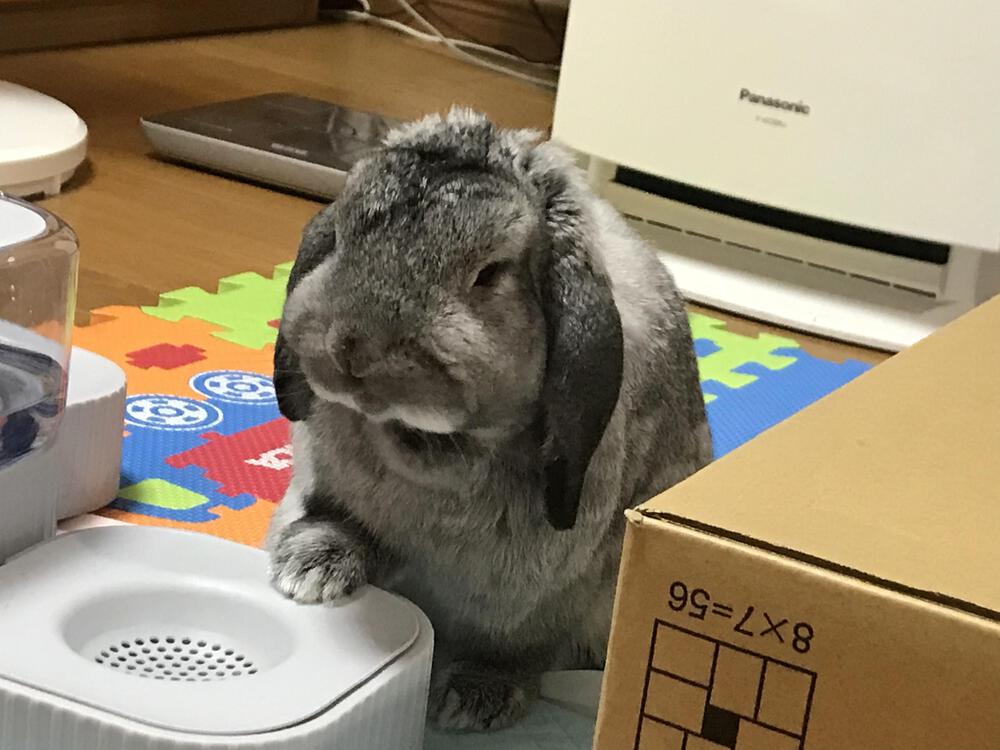 カバー画像