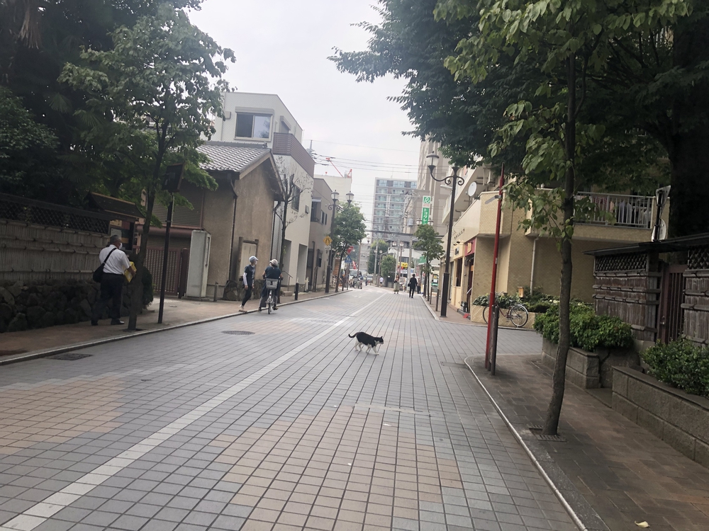 カバー画像