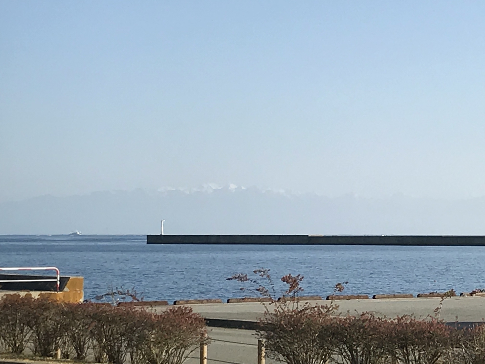 カバー画像