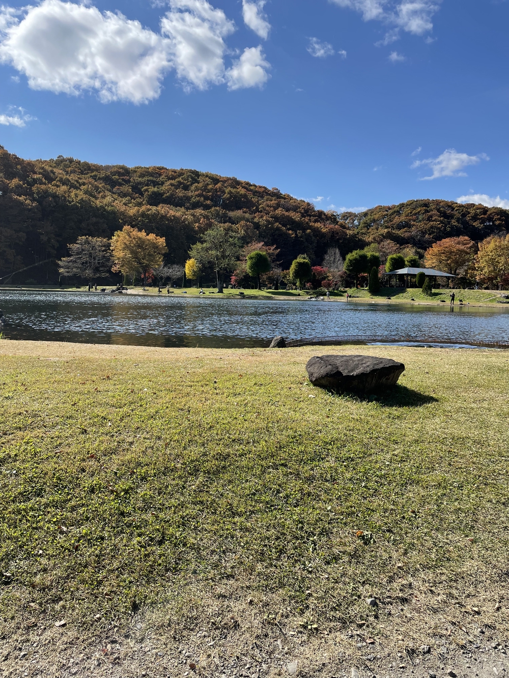 カバー画像