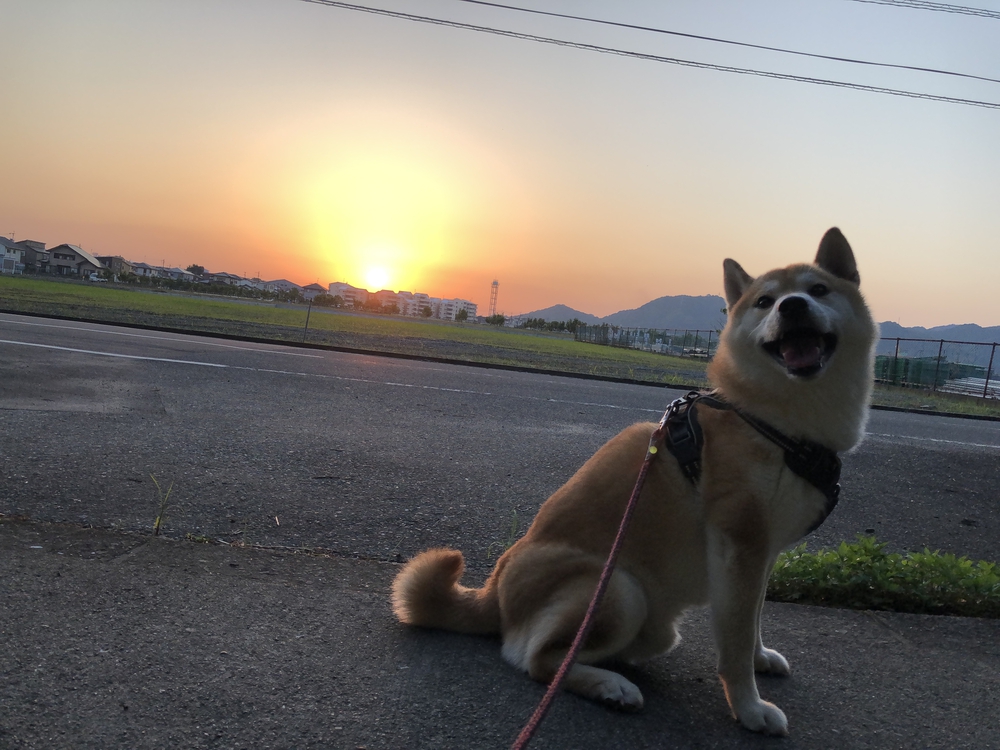 カバー画像