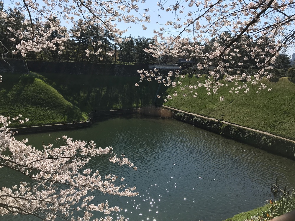 カバー画像