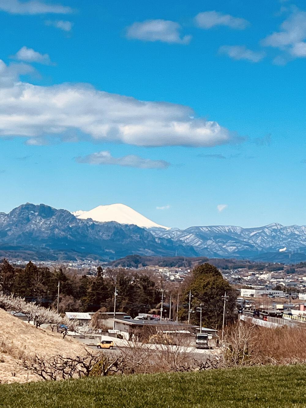 カバー画像