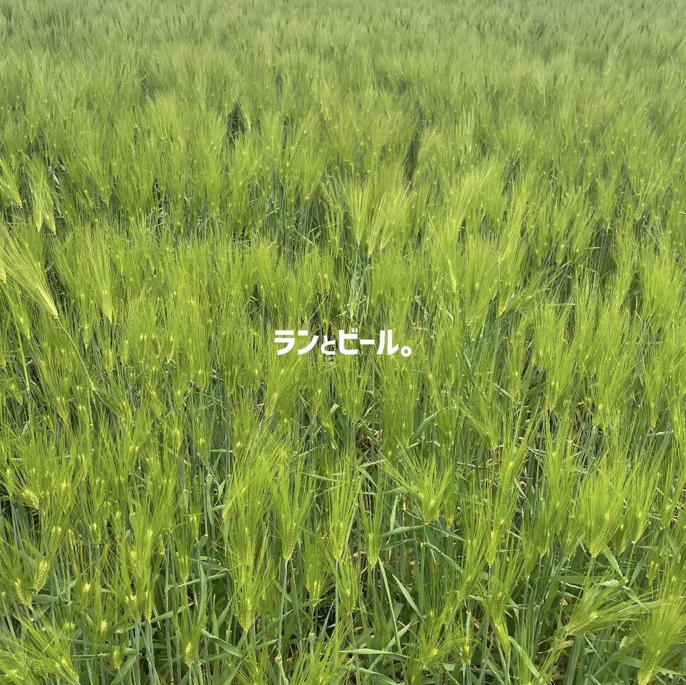 カバー画像