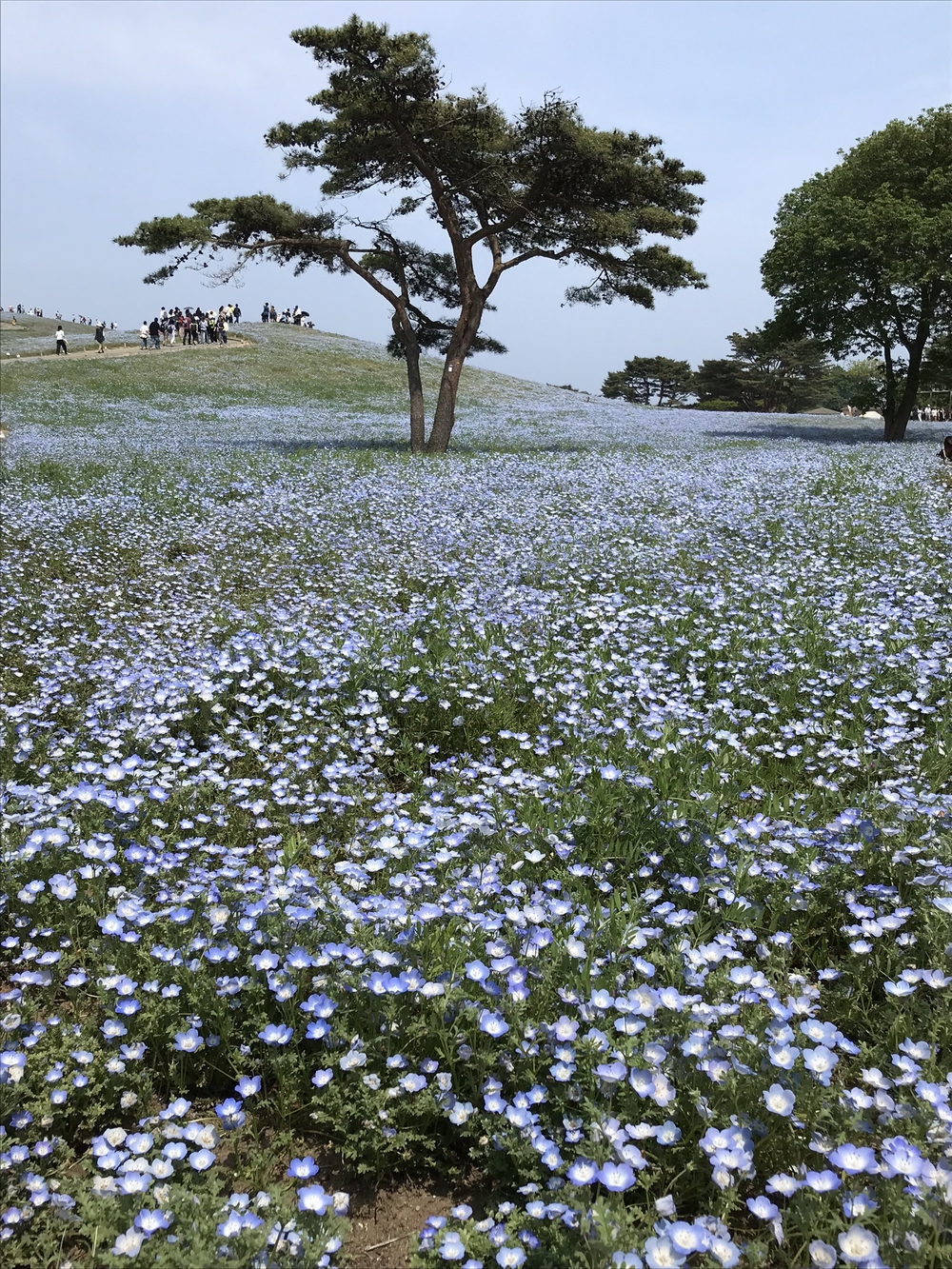 カバー画像