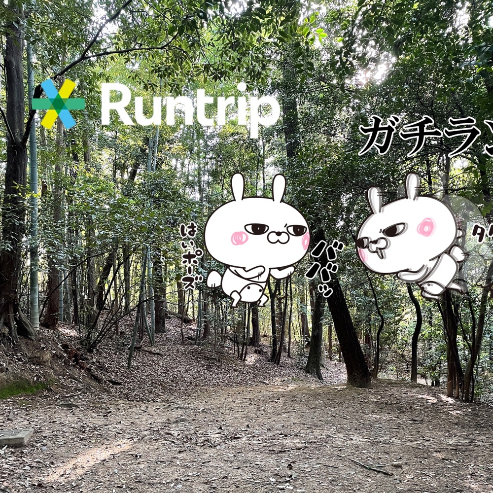 カバー画像