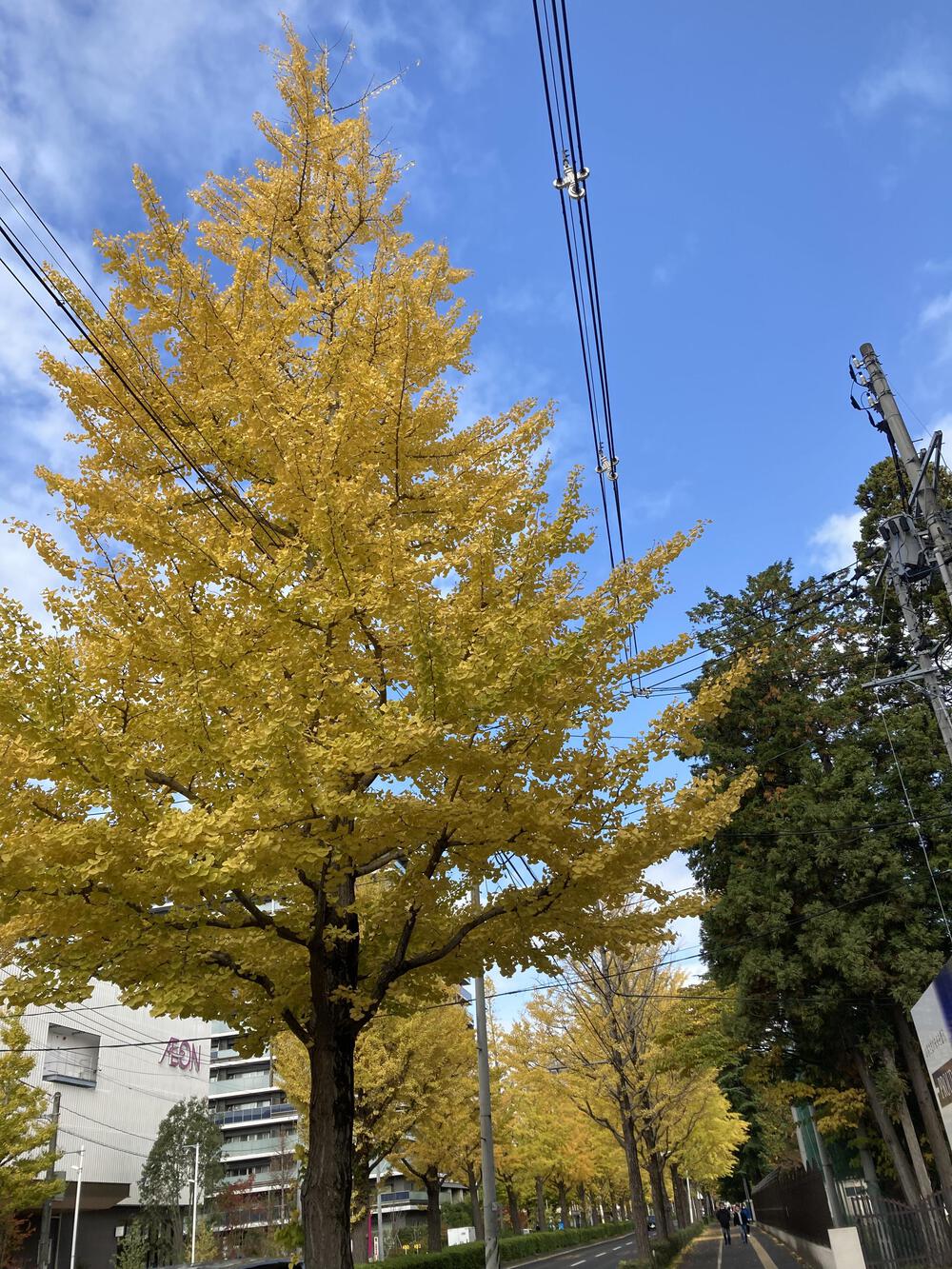 カバー画像