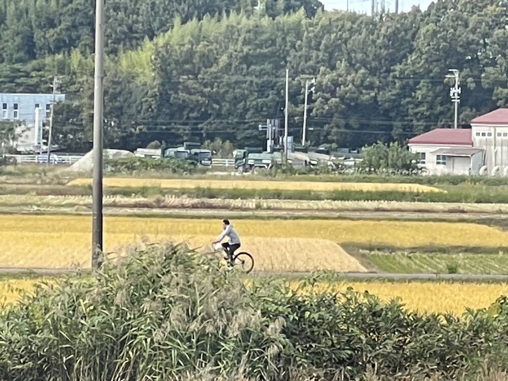 カバー画像