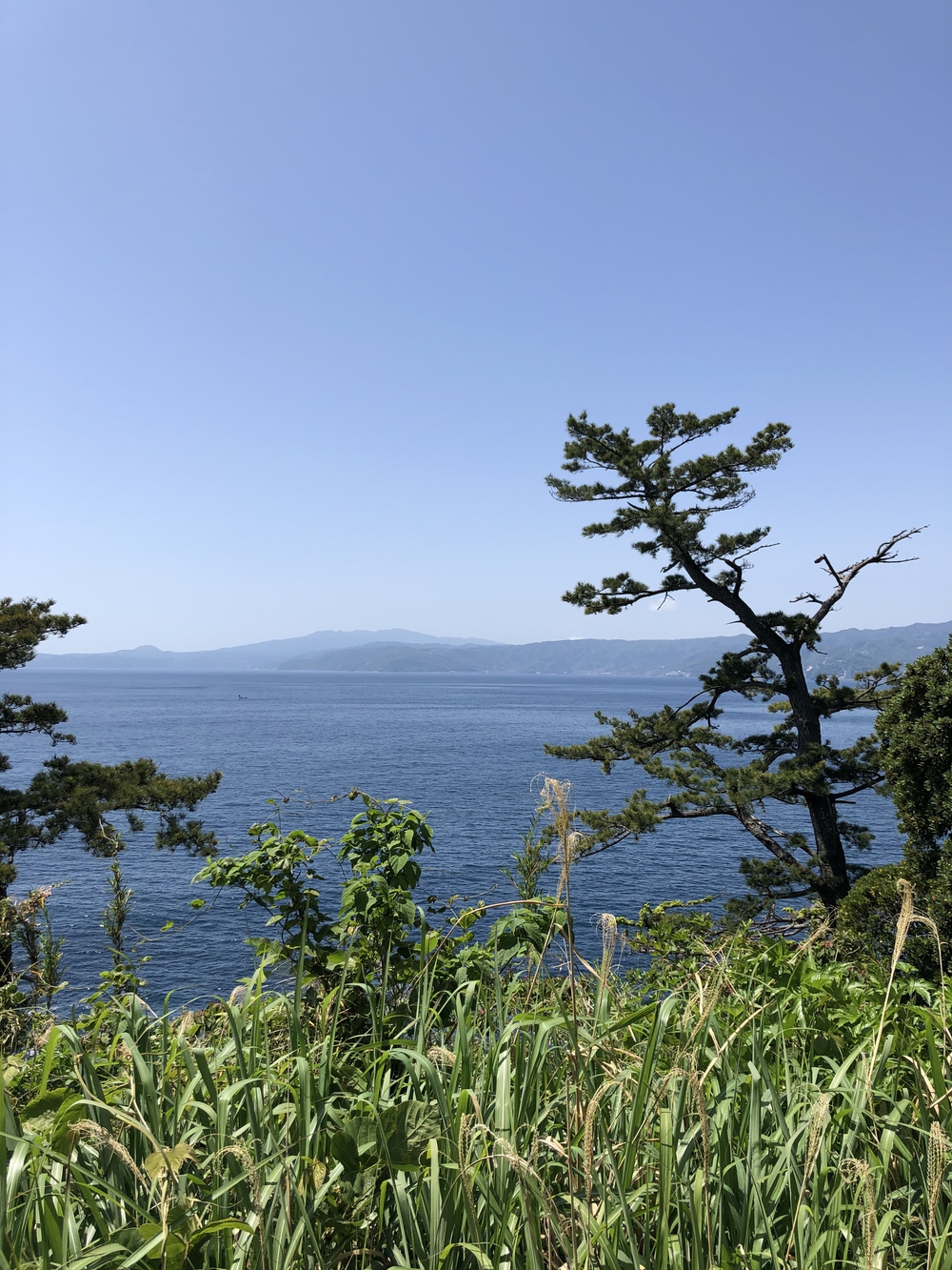 カバー画像
