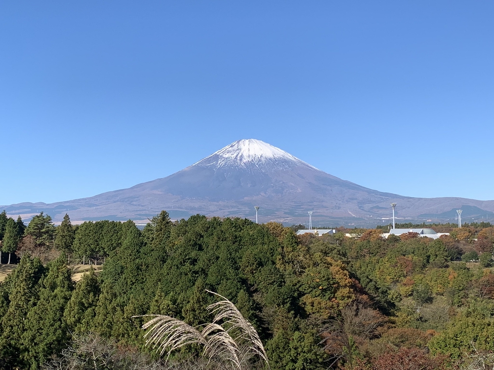 カバー画像