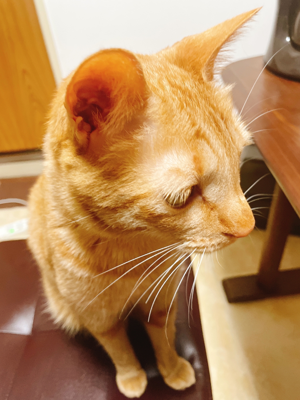 カバー画像