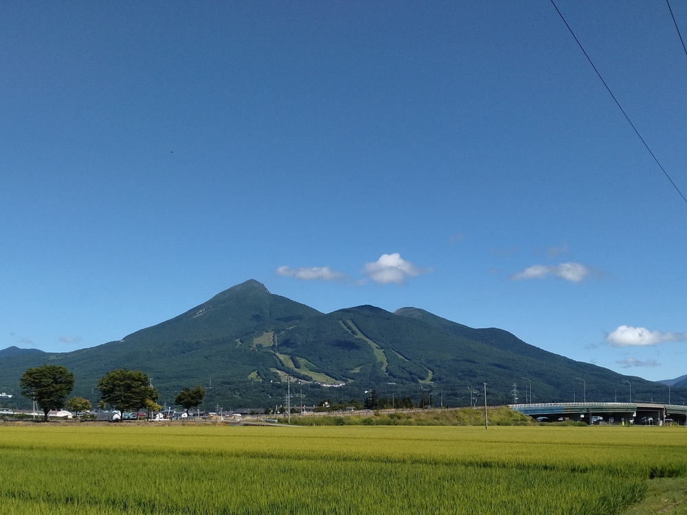 カバー画像