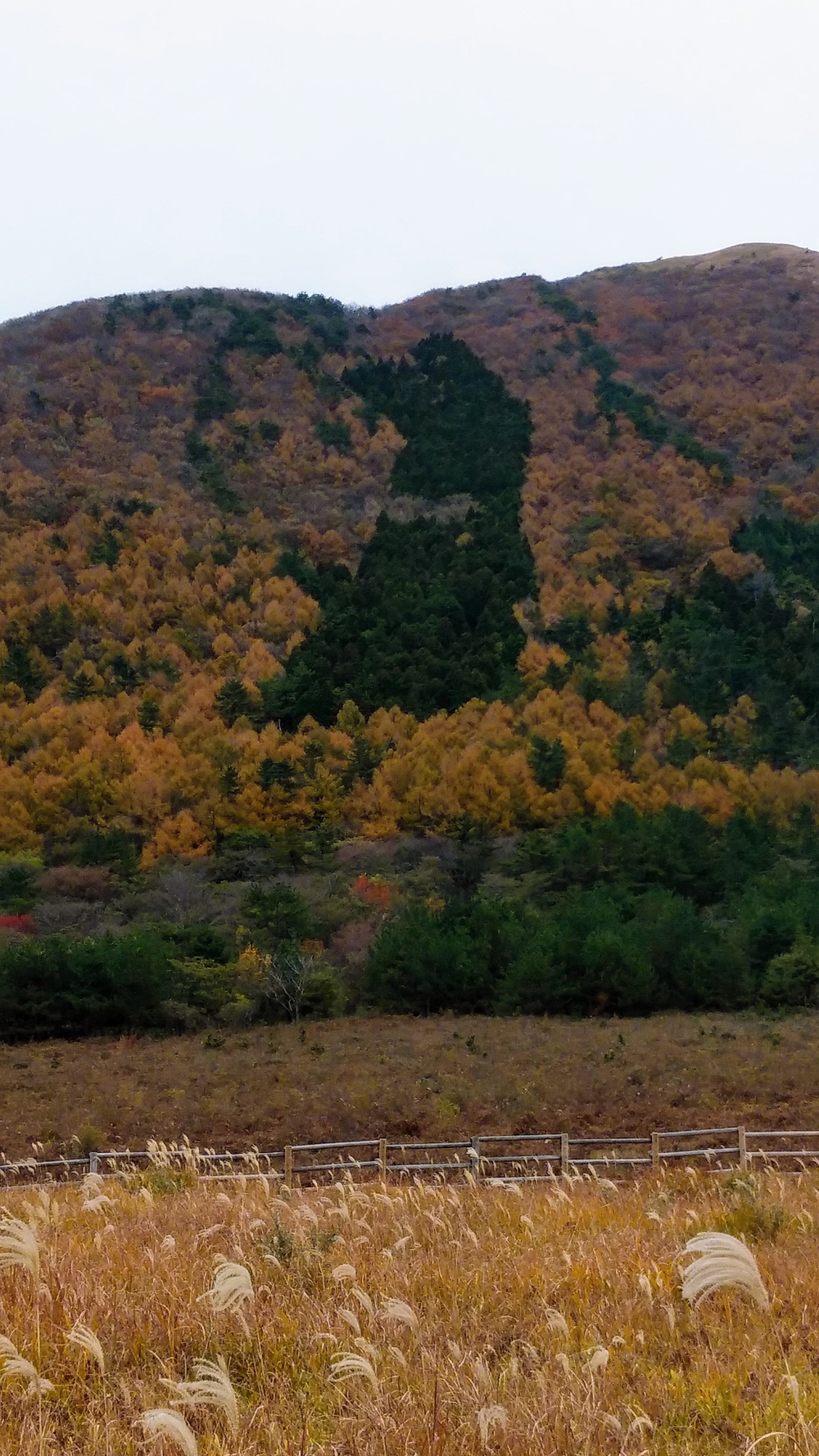 カバー画像