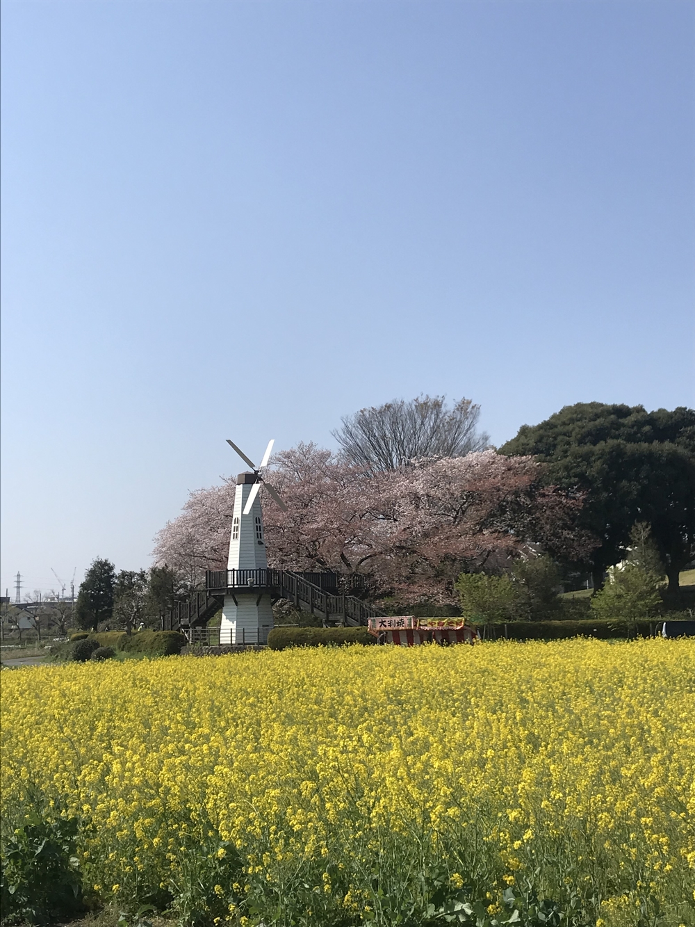 カバー画像
