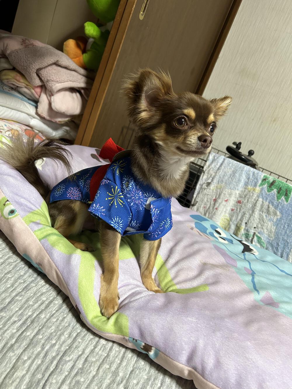 カバー画像