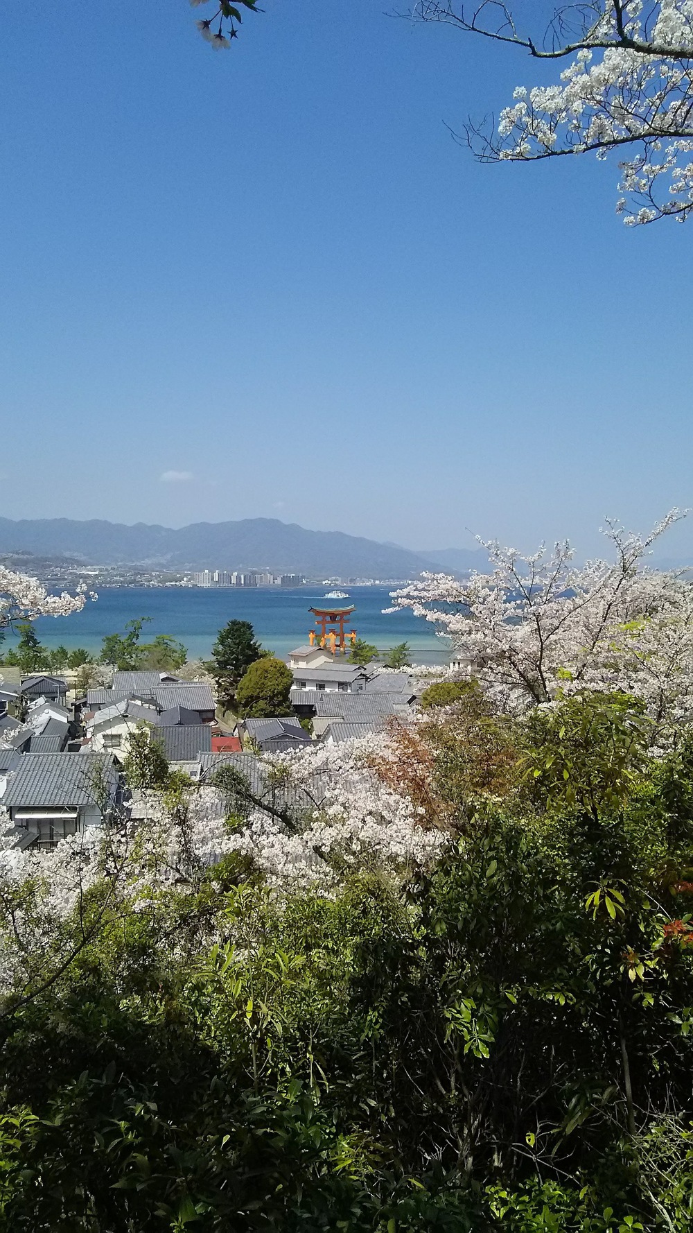 カバー画像