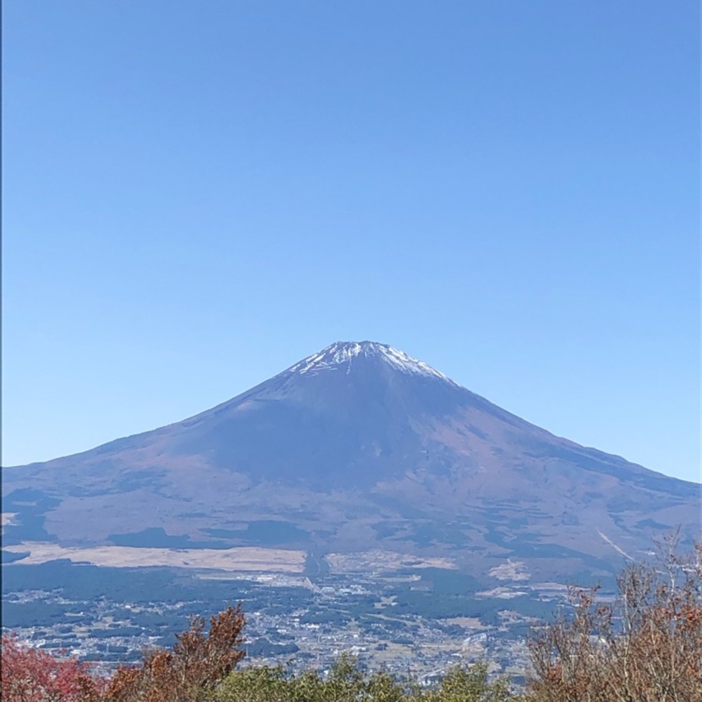 カバー画像