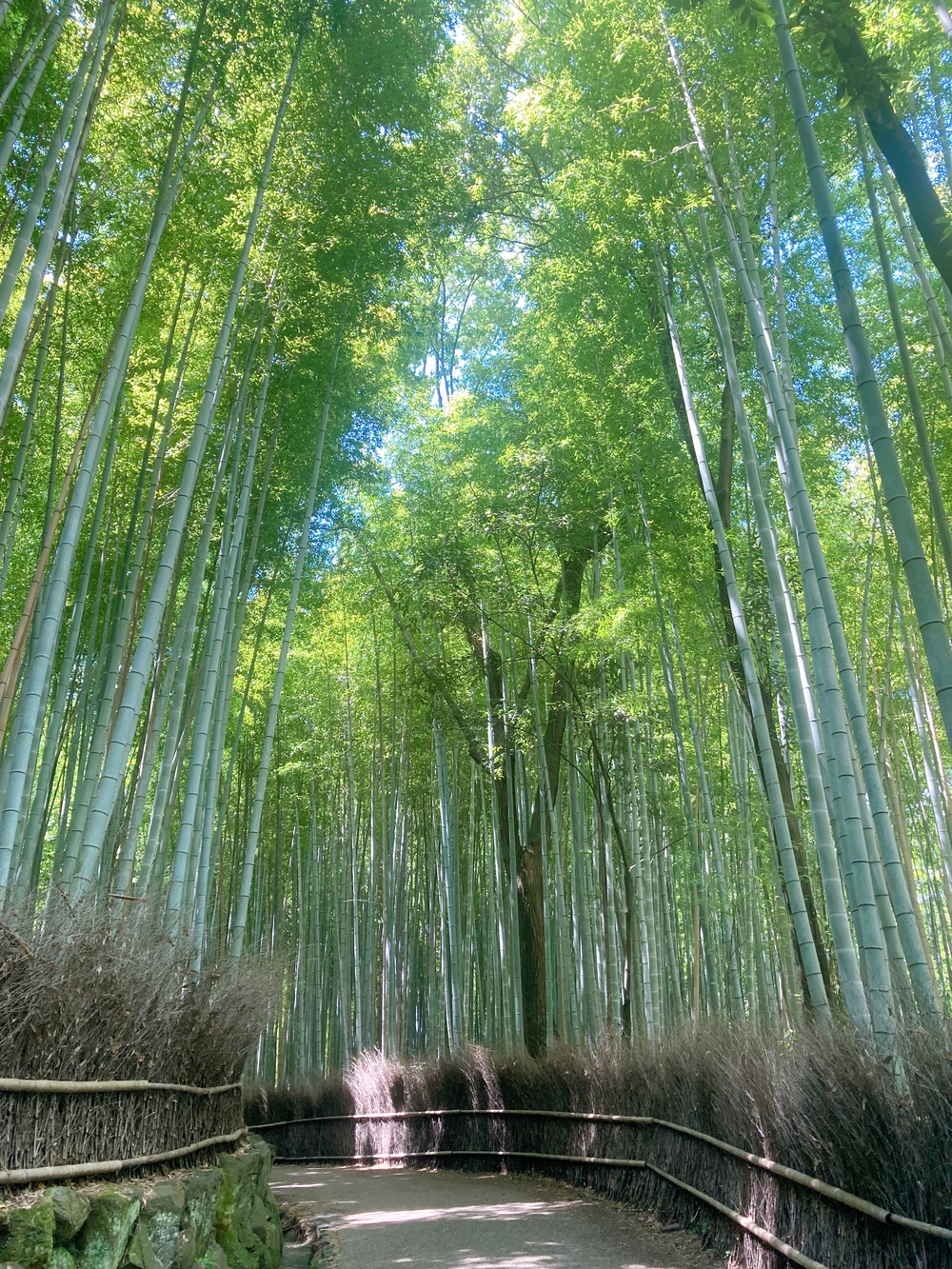カバー画像
