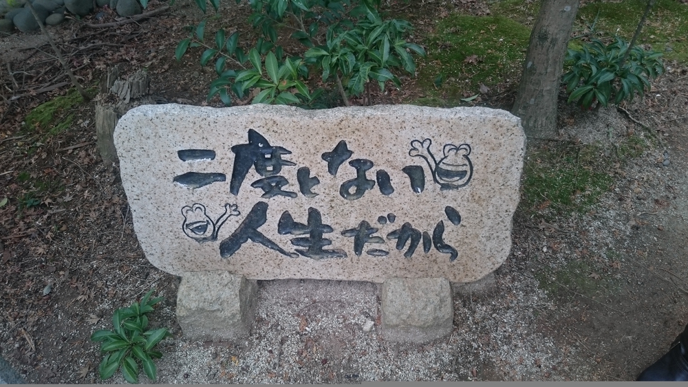 カバー画像