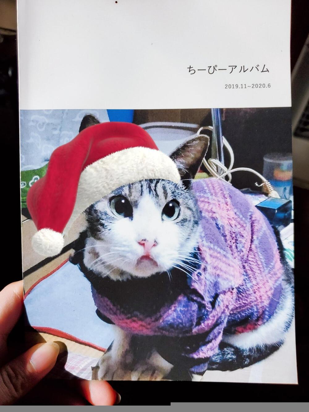 カバー画像