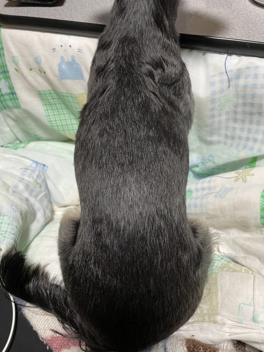 カバー画像