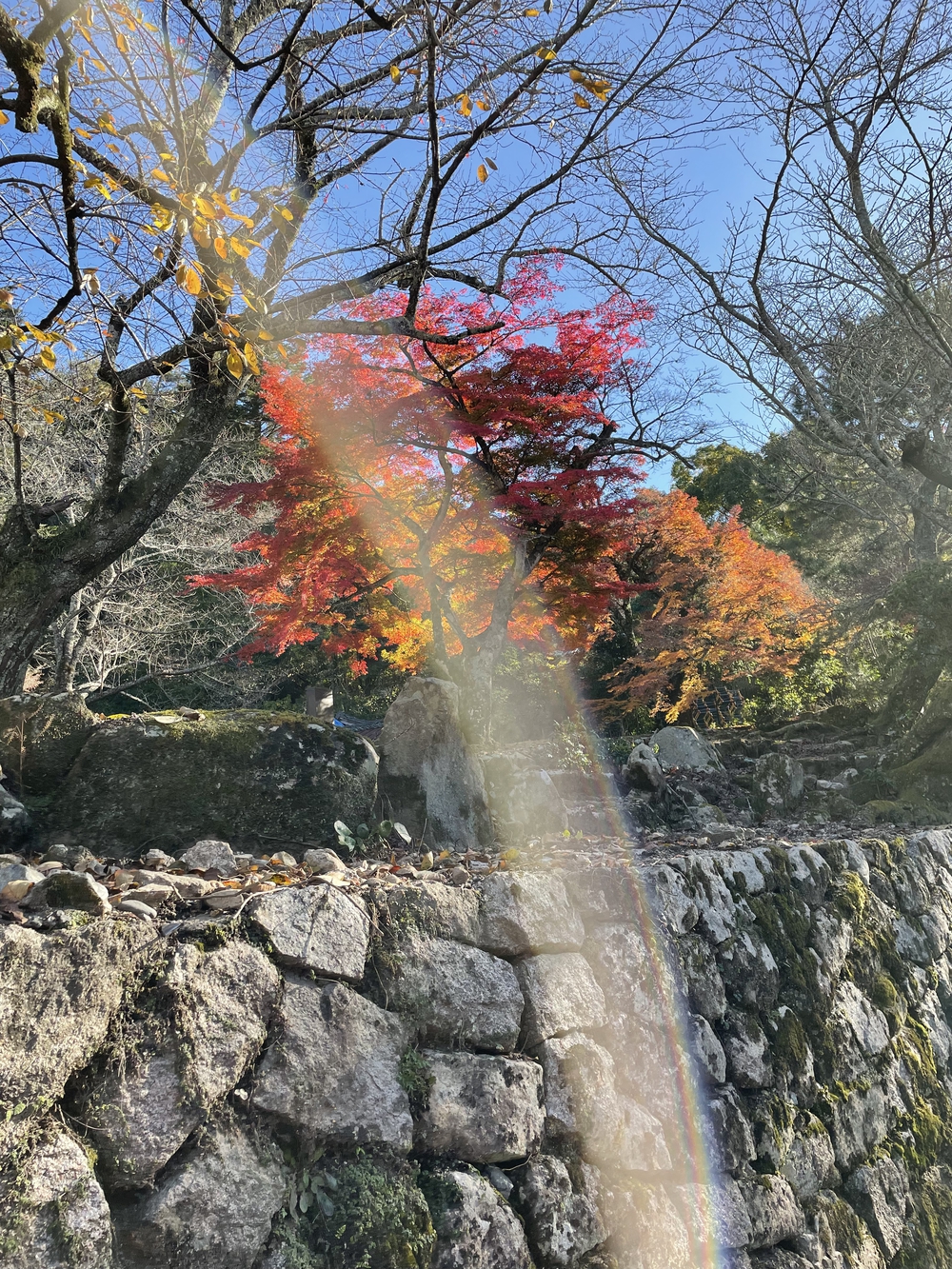 カバー画像