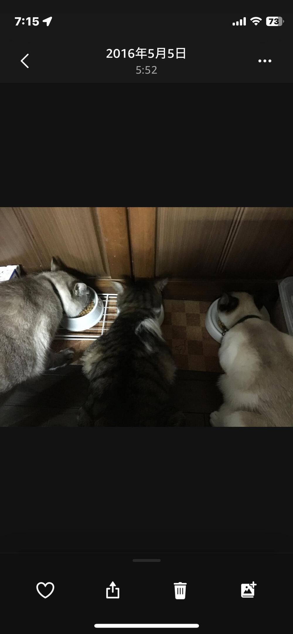 カバー画像
