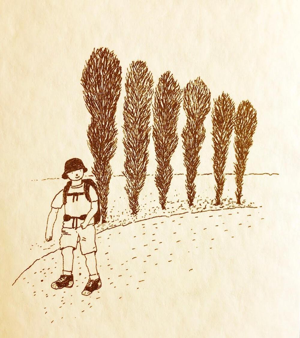 カバー画像
