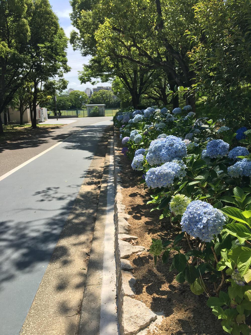 カバー画像
