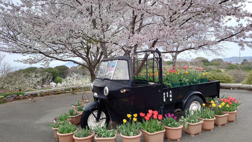 カバー画像