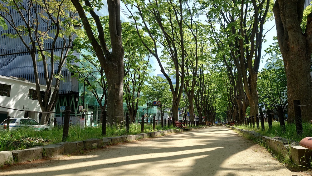 カバー画像