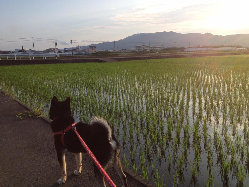 カバー画像