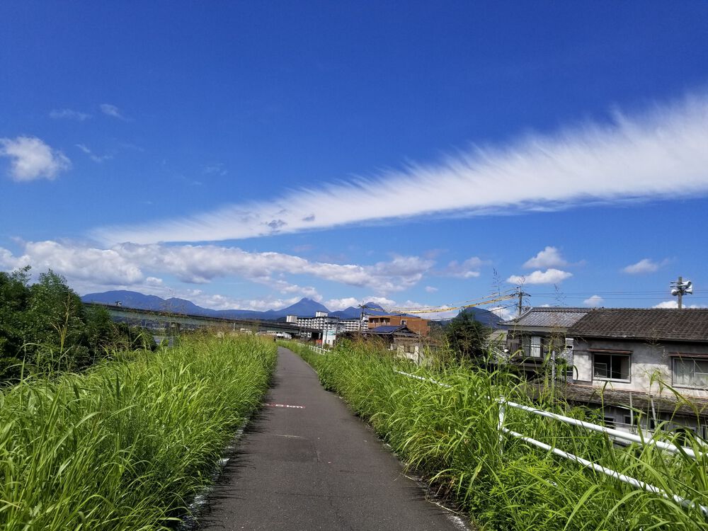 カバー画像